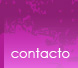 Contacto